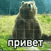 Раймонд Масло