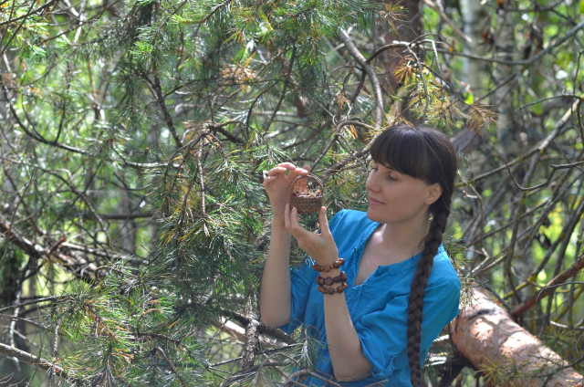 Основной альбом