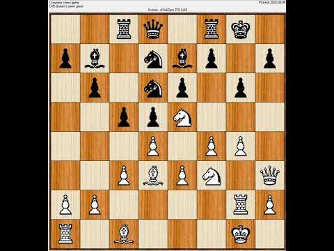 Chess cover D05